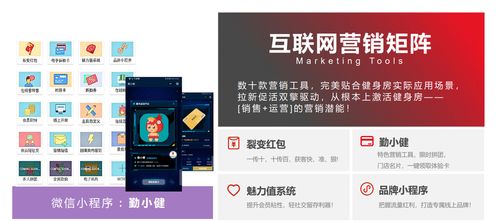 勤鳥(niǎo)科技 健身房管理系統(tǒng) 智能管理系統(tǒng)